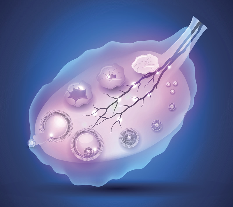 哈尔滨不明原因不孕试管医院选择指南：附本地口碑机构与医生详情解析